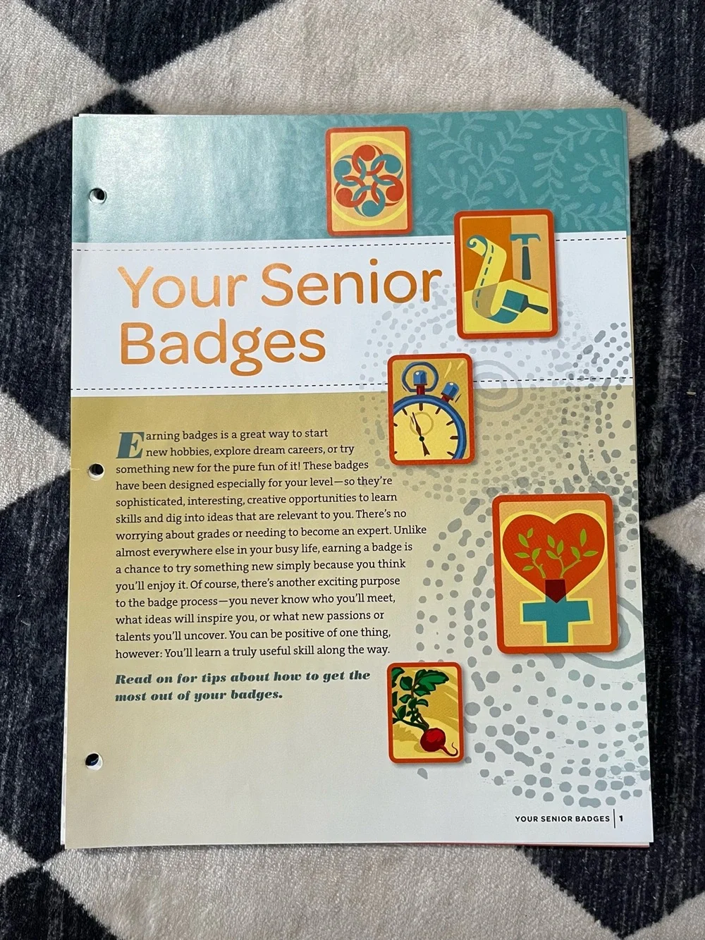 Senior Badge Guides